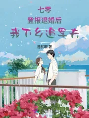 《七零：登报退婚后，我下乡追军夫》小说封面
