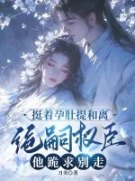 《挺着孕肚提和离,绝嗣权臣他跪求别走》小说封面