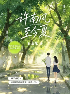 《许南风,至今夏》小说封面