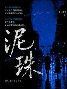 《泥珠》小说封面