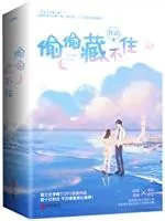 《偷偷藏不住》小说封面