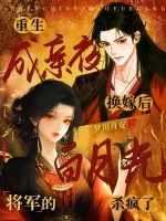 《重生成亲夜换嫁后,将军的白月光杀疯了》小说封面