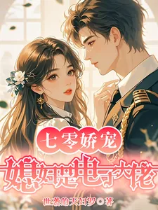 《七零娇宠：媳妇是电子大佬》小说封面