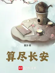 《算尽长安》小说封面