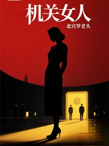 《机关女人》小说封面