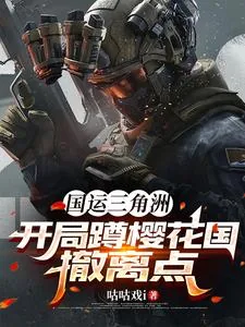 《国运三角洲：开局蹲樱花国撤离点》小说封面
