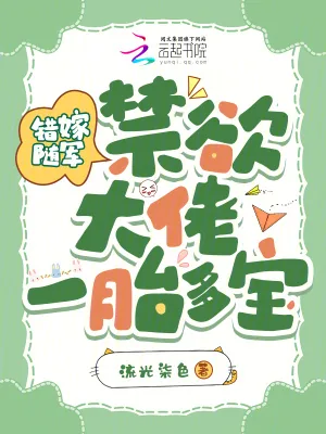 《错嫁随军，禁欲大佬一胎多宝！》小说封面