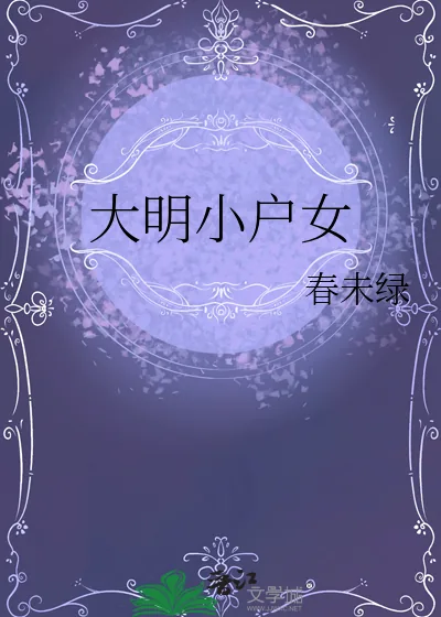 《大明小户女》小说封面