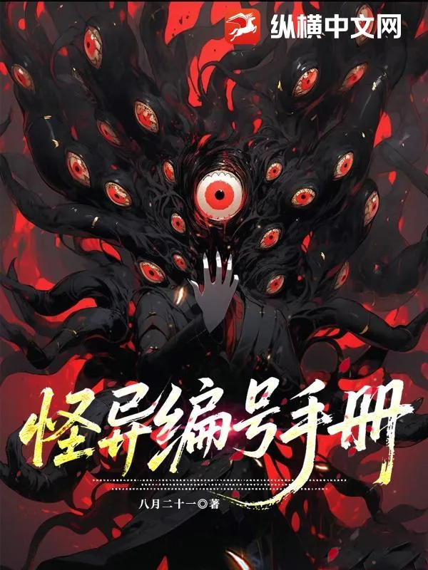 《怪异编号手册》小说封面