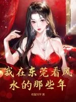 《我在东莞看风水的那些年》小说封面