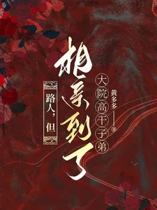 《路人，但相亲到了大院高干子弟》小说封面