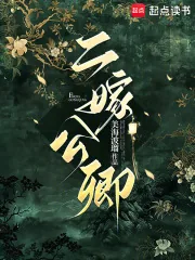《二嫁公卿》小说封面
