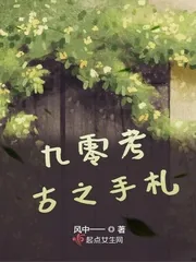 《九零考古之手札》小说封面