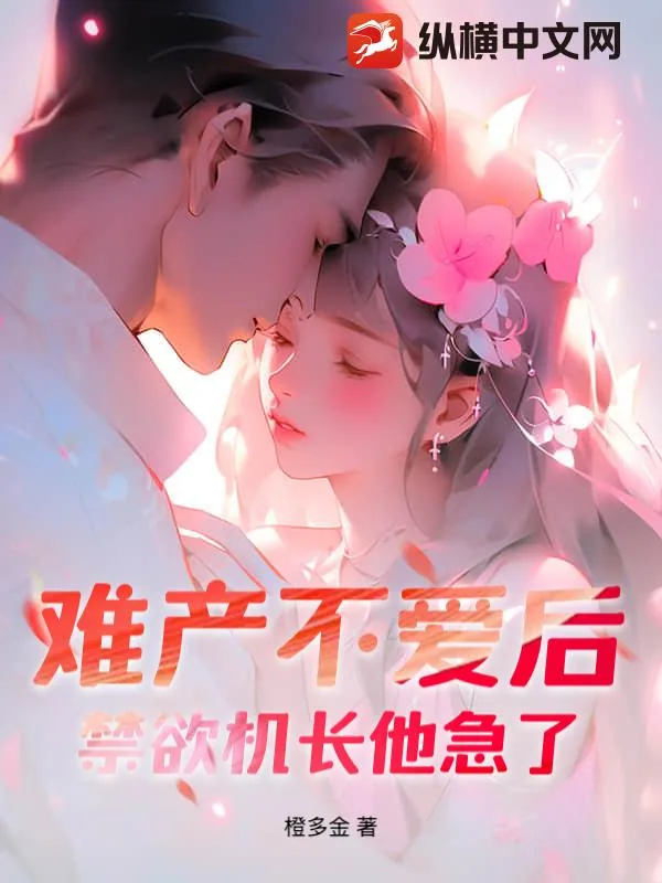 《难产不爱后，禁欲机长他急了！》小说封面