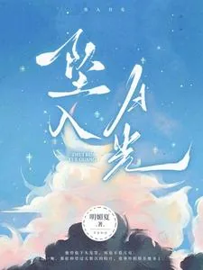 《坠入月光》小说封面