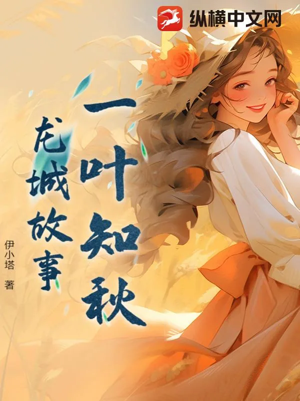 《一叶知秋:龙城故事》小说封面