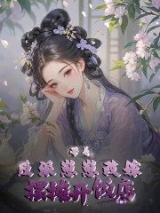 《带着反派崽崽改嫁，摆摊开饭店》小说封面