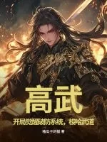 《高武:开局觉醒破防系统,梭哈武道》小说封面
