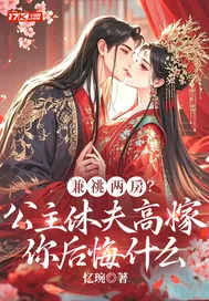 《兼祧两房?公主休夫高嫁你后悔什么》小说封面