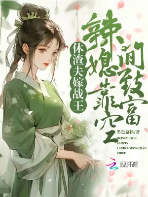 《休渣夫，嫁战王，辣媳靠空间致富》小说封面
