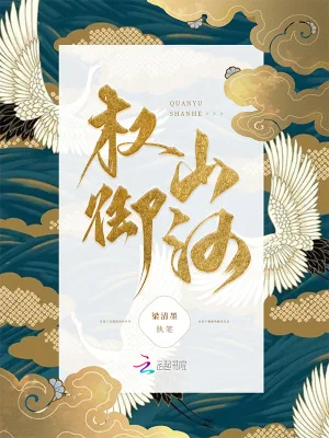 《权御山河》小说封面