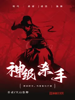 《神级杀手》小说封面