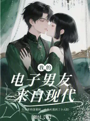 《我的电子男友来自现代》小说封面