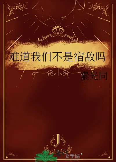 《难道我们不是宿敌吗》小说封面