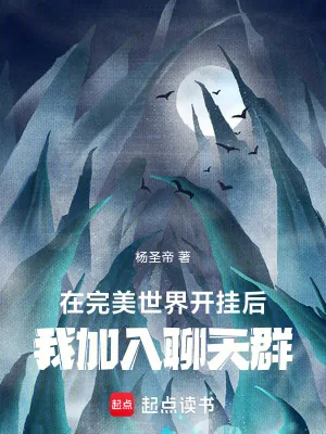 《在完美开挂后,我加入聊天群》小说封面