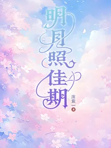 《明月照佳期》小说封面