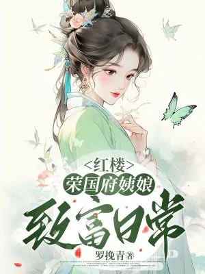 《红楼：荣国府姨娘致富日常》小说封面
