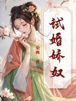 《试婚娇奴》小说封面