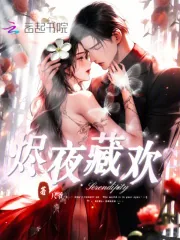 《烬夜藏欢》小说封面