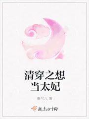 《清穿之想当太妃》小说封面