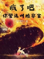《疯了吧，你管这叫检察官》小说封面