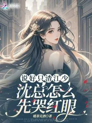 《说好只渣江少，沈总怎么先哭红眼》小说封面