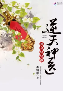 《神魔医仙》小说封面