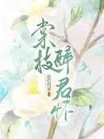 《棠枝醉君怀》小说封面
