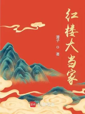 《红楼大当家》小说封面