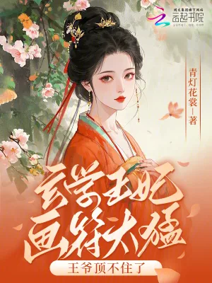 《玄学王妃画符太猛,王爷顶不住了》小说封面