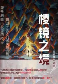 《棱镜之境》小说封面