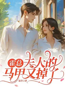《霍总,夫人的马甲又掉了》小说封面