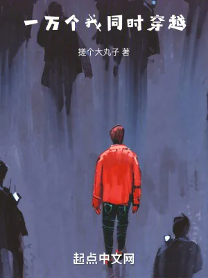 《一万个我同时穿越》小说封面