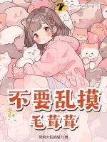 《不要乱摸毛茸茸！》小说封面