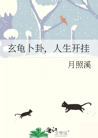 《玄龟卜卦，人生开挂》小说封面
