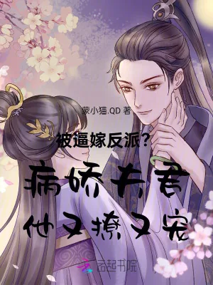 《被逼嫁反派？病娇夫君他又撩又宠》小说封面