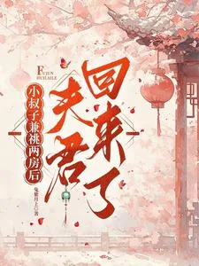《小叔子兼祧两房后，夫君回来了》小说封面