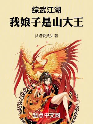 《综武江湖：我娘子是山大王》小说封面