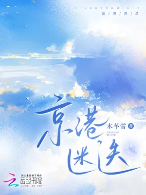 《京港迷迭》小说封面