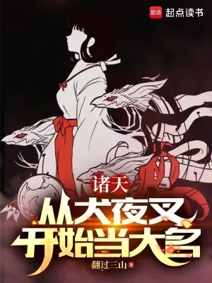 《诸天：从犬夜叉开始当大名》小说封面